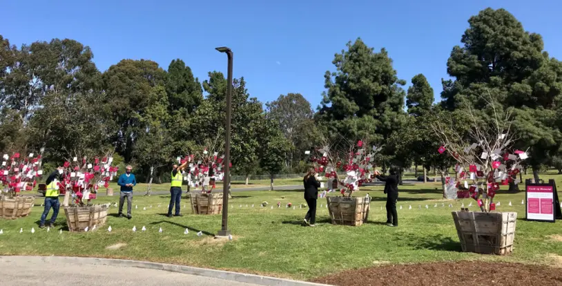 COVID Memorial Trees at Rose Hills